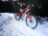 Snowy Cannock Chase